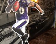 Ravens Cutout