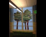 School Windows