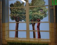 School Windows